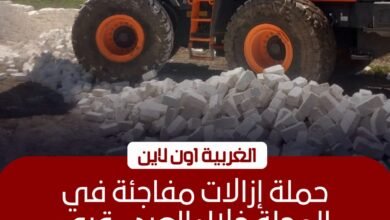 إزالة 9 حالات تعدٍ على الأراضي الزراعية بمركز المحلة في الغربية 2 إزالة 9 حالات تعدٍ على الأراضي الزراعية بمركز المحلة في الغربية