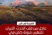 السيطرة على حريق هائل داخل شونة كتان بقرية شبراملس في زفتى
