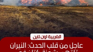 السيطرة على حريق هائل داخل شونة كتان بقرية شبراملس في زفتى