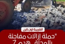 إزالة 7 حالات تعدٍ في المحلة الكبرى ضمن المرحلة الثانية للموجة 29 بالغربية