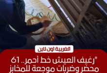تحرير 61 محضراً لمخابز مخالفة في طنطا والمحلة وقطور