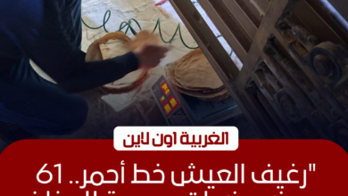 تحرير 61 محضراً لمخابز مخالفة في طنطا والمحلة وقطور