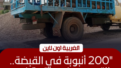 ضبط 200 أسطوانة غاز و1.6 طن دقيق في حملات مكثفة بالغربية