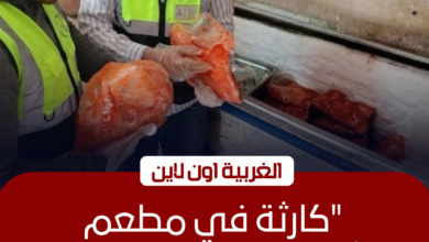 ضبط 250 كجم دواجن فاسدة داخل مطعم شهير في طنطا