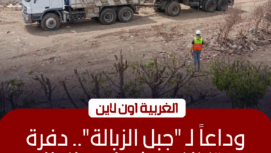 إزالة 19 ألف طن قمامة من "دفرة" بطنطا خلال ساعات