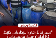 ضبط 10 أطنان مخللات داخل مصنع "بير سلم" غير مرخص في الغربية