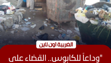 إزالة 10 بؤر ورفع 326 طن مخلفات تاريخية في مراكز الغربية اليوم