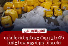 ضبط مصنع زيوت و47 طن سلع مجهولة في حملة مكبرة بالغربية