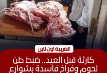ضبط طن لحوم فاسدة و1200 عبوة منظفات مهربة بالغربية