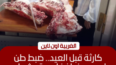 ضبط طن لحوم فاسدة و1200 عبوة منظفات مهربة بالغربية