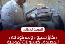 تحرير 22 محضرًا لمخابز مخالفة في بسيون وسمنود بالغربية