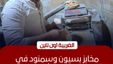 تحرير 22 محضرًا لمخابز مخالفة في بسيون وسمنود بالغربية