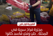ضبط طن ونصف دواجن فاسدة داخل مجزر غير مرخص في المحلة