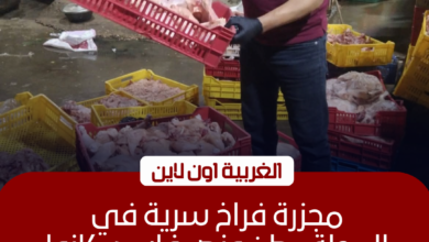 ضبط طن ونصف دواجن فاسدة داخل مجزر غير مرخص في المحلة 2 ضبط طن ونصف دواجن فاسدة داخل مجزر غير مرخص في المحلة