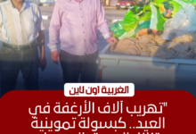 ضبط 12 ألف رغيف مدعم و35 شيكارة دقيق قبل بيعها في الغربية