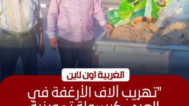 ضبط 12 ألف رغيف مدعم و35 شيكارة دقيق قبل بيعها في الغربية