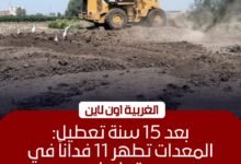 إزالة مخلفات 12 فدانًا في قطور ومد مهلة تراخيص التوك توك بالغربية