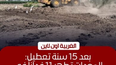 إزالة مخلفات 12 فدانًا في قطور ومد مهلة تراخيص التوك توك بالغربية