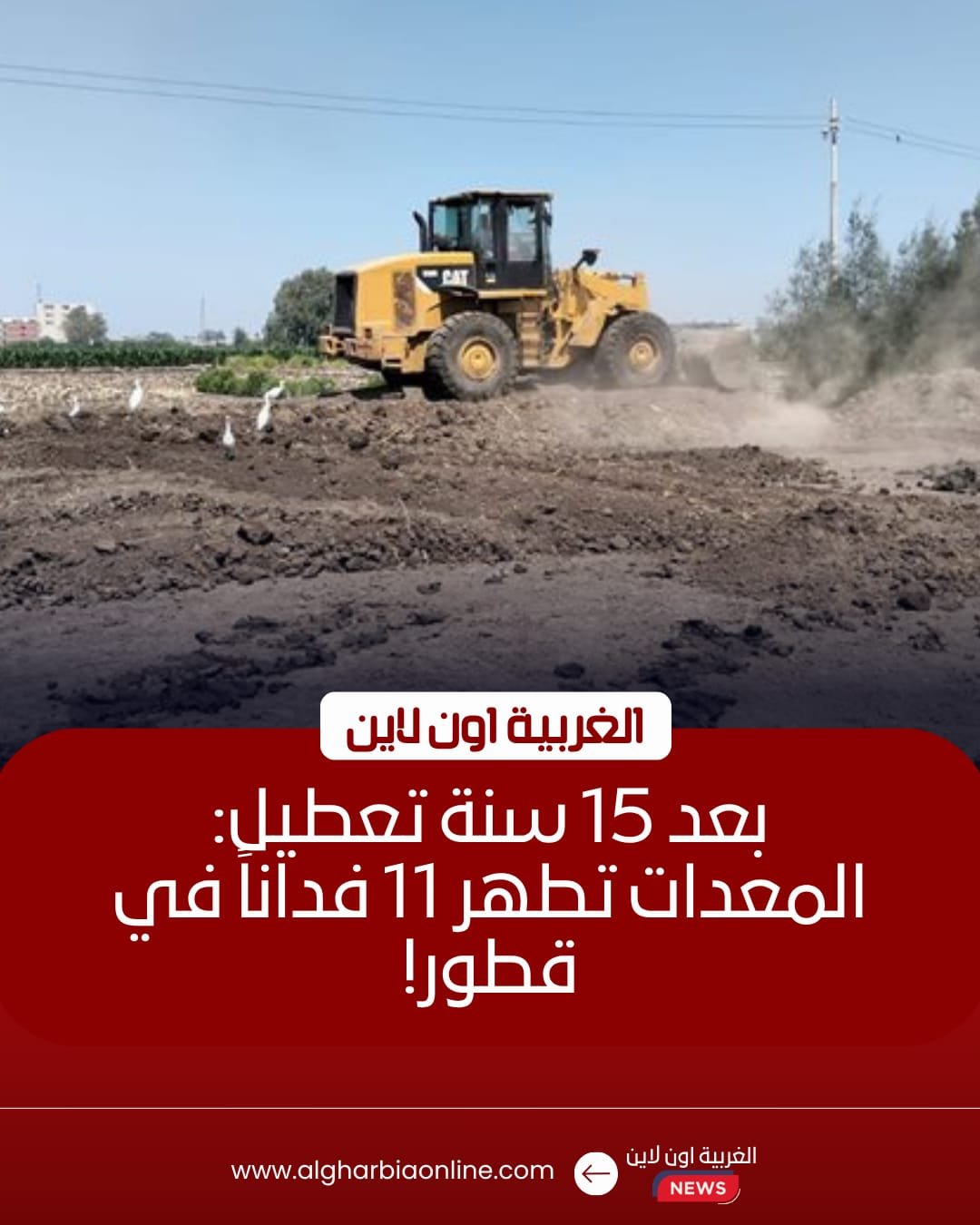 إزالة مخلفات 12 فدانًا في قطور ومد مهلة تراخيص التوك توك بالغربية