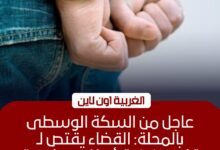 السجن 15 عاماً لقاتل "كريم نونو" في المحلة الكبرى