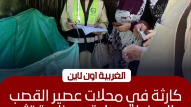 ضبط 8 كيلو مواد محظورة بمحلات عصير قصب في السنطة بالغربية