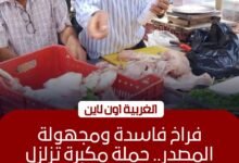 ضبط 29 كيلو دواجن فاسدة وتحرير 25 محضراً في حملة بـ المحلة