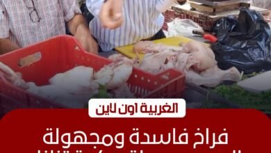 ضبط 29 كيلو دواجن فاسدة وتحرير 25 محضراً في حملة بـ المحلة