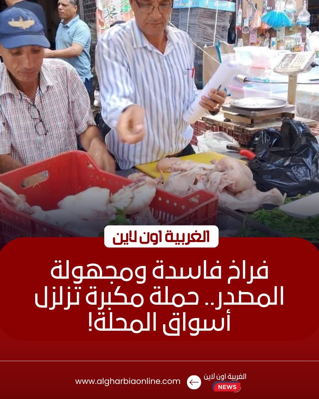 ضبط 29 كيلو دواجن فاسدة وتحرير 25 محضراً في حملة بـ المحلة 8 ضبط 29 كيلو دواجن فاسدة وتحرير 25 محضراً في حملة بـ المحلة