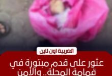 العثور على قدم مبتورة وسط القمامة في المحلة الكبرى بالغربية