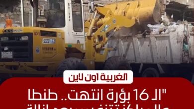رفع 577 طن مخلفات وإزالة 16 بؤرة قمامة تاريخية في الغربية