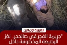 العثور على رضيعة ملقاة بقرية صالحجر في بسيون والنيابة تباشر التحقيق