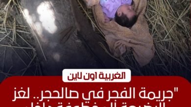 العثور على رضيعة ملقاة بقرية صالحجر في بسيون والنيابة تباشر التحقيق