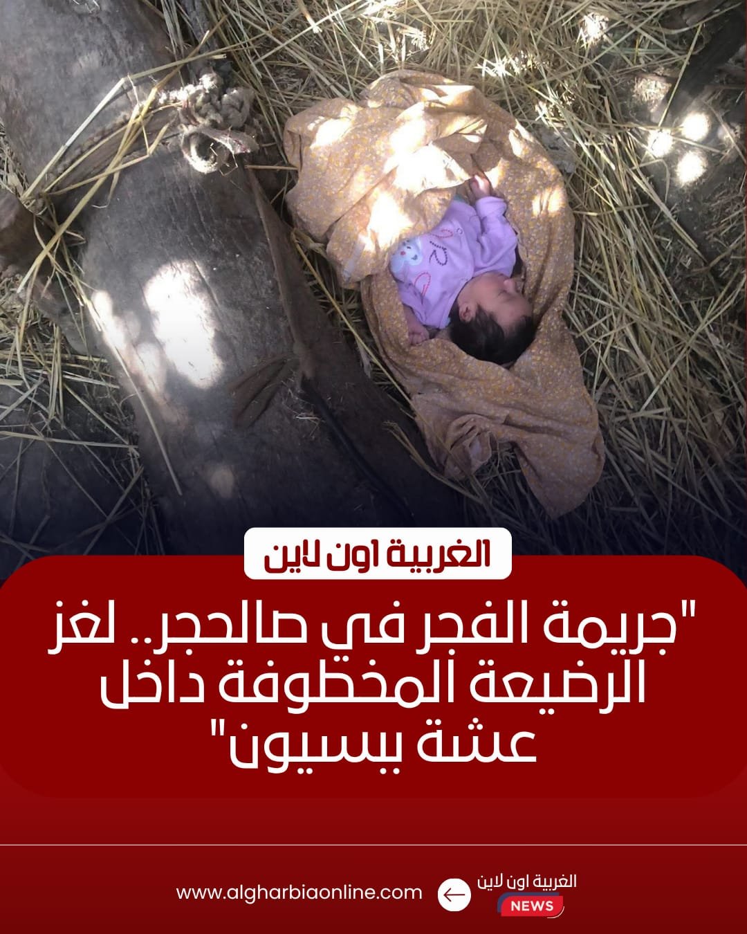 العثور على رضيعة ملقاة بقرية صالحجر في بسيون والنيابة تباشر التحقيق