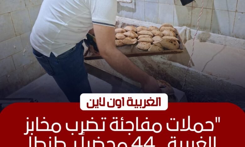 تحرير 44 محضرًا تموينيًا لمخابز مخالفة في طنطا وقطور ومراكز الغربية 1 تحرير 44 محضرًا تموينيًا لمخابز مخالفة في طنطا وقطور ومراكز الغربية