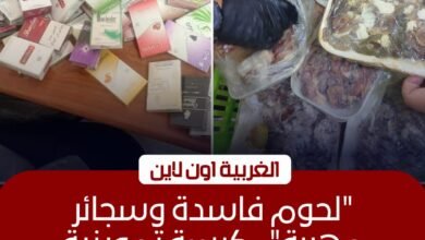 ضبط 33 مخالفة تموينية وسلع فاسدة في حملات مكبرة بمراكز الغربية 2 ضبط 33 مخالفة تموينية وسلع فاسدة في حملات مكبرة بمراكز الغربية
