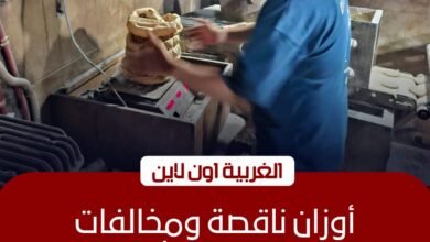 تحرير 26 محضرًا خلال حملات رقابية مكثفة على مخابز المحلة وطنطا وبسيون