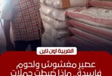 ضبط 5.6 طن سلع غذائية فاسدة في حملات تموينية مكثفة بالغربية