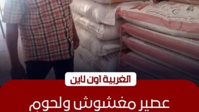 ضبط 5.6 طن سلع غذائية فاسدة في حملات تموينية مكثفة بالغربية