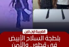 القبض على شقيقين ظهرا في فيديو "بلطجة" بقطور في الغربية