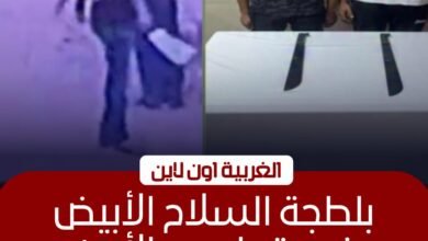 القبض على شقيقين ظهرا في فيديو "بلطجة" بقطور في الغربية