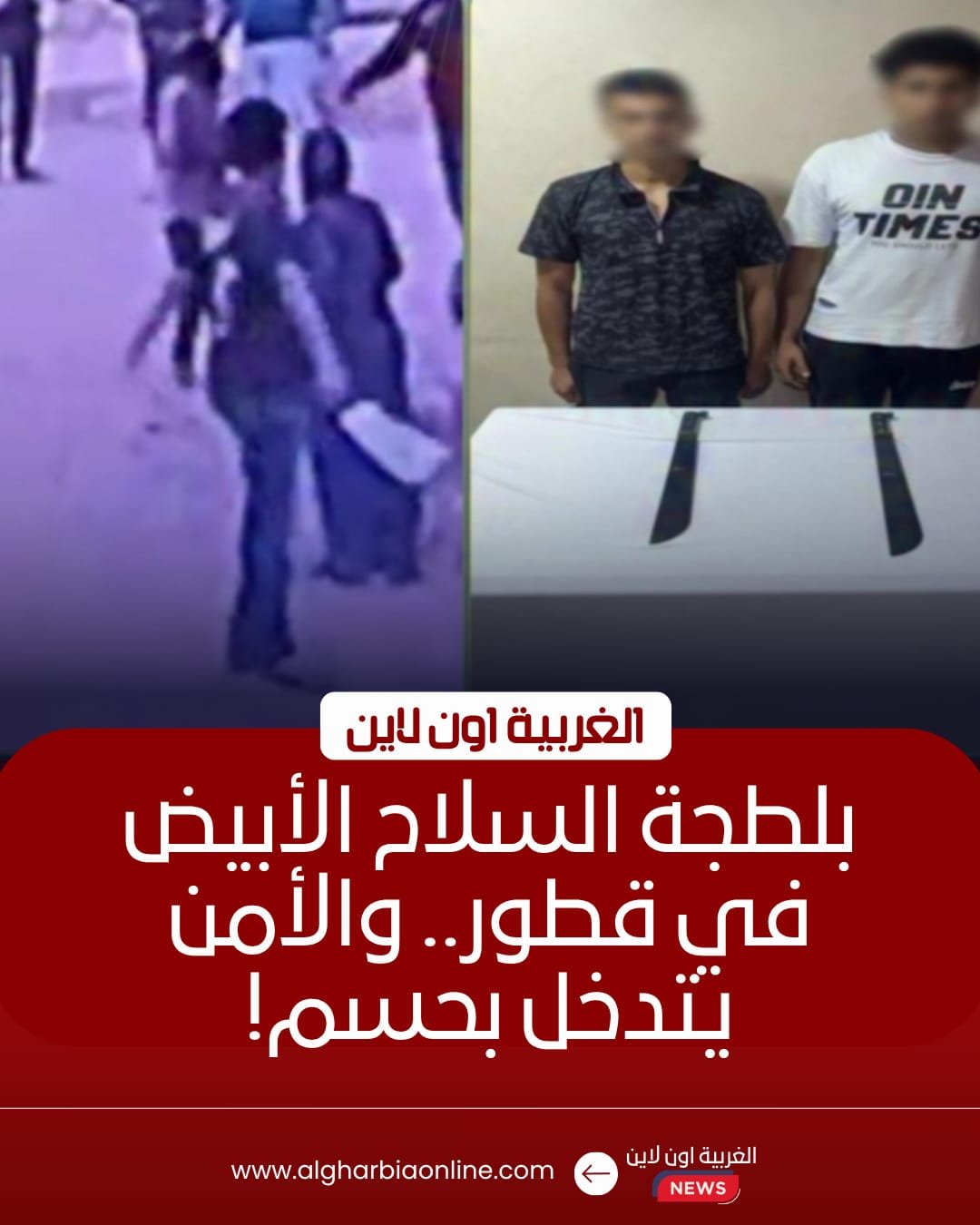 القبض على شقيقين ظهرا في فيديو "بلطجة" بقطور في الغربية