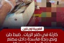 ضبط طن ونصف رنجة فاسدة داخل مصنع غير مرخص بكفر الزيات