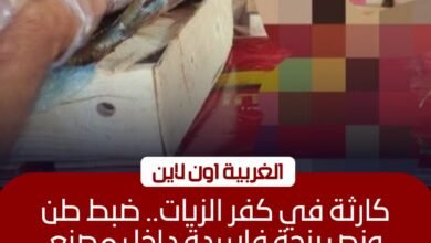 ضبط طن ونصف رنجة فاسدة داخل مصنع غير مرخص بكفر الزيات