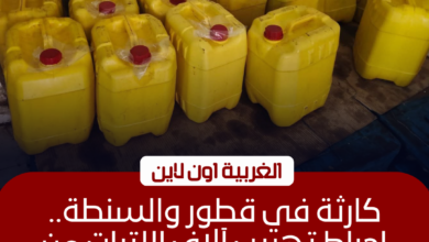 إحباط تهريب 26 ألف لتر سولار وأطنان سلع في الغربية
