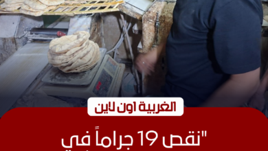 تحرير 22 محضرًا لمخابز بلدية مخافة في كفر الزيات وبسيون