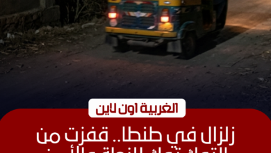 أمن الغربية يفحص فيديو استدراج سيدة داخل "توك توك" بطنطا