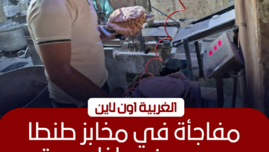 ضبط 20 مخالفة مخابز في طنطا وبسيون خلال حملة مفاجئة اليوم