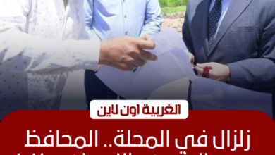 جولة لمحافظ الغربية في شوارع المحلة لمتابعة النظافة