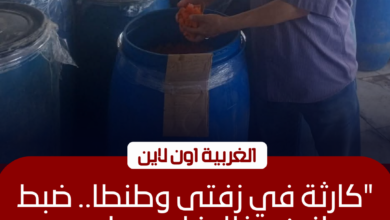 ضبط 2 طن مخللات ولحوم فاسدة في الغربية خلال حملة مكبرة
