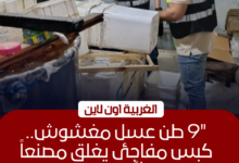 ضبط 9 أطنان عسل داخل مصنع غير مرخص في الغربية